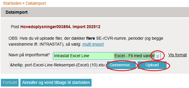 Vælg importformat