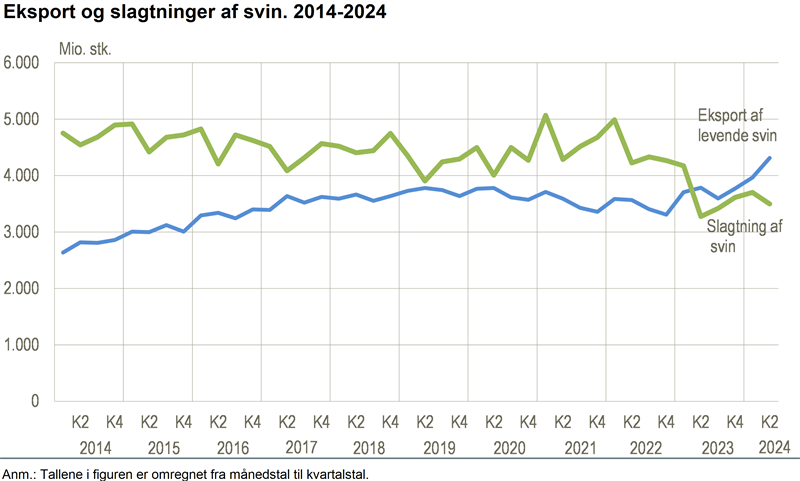 4,3 mio. svin eksporteret i 2. kvartal 2024